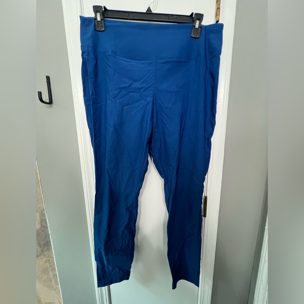 Worthington Skinny Size 16 Blue pant
